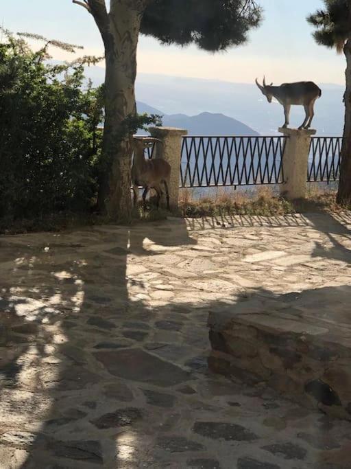 Luxury Apartment Sierra Nevada Granada Luaran gambar